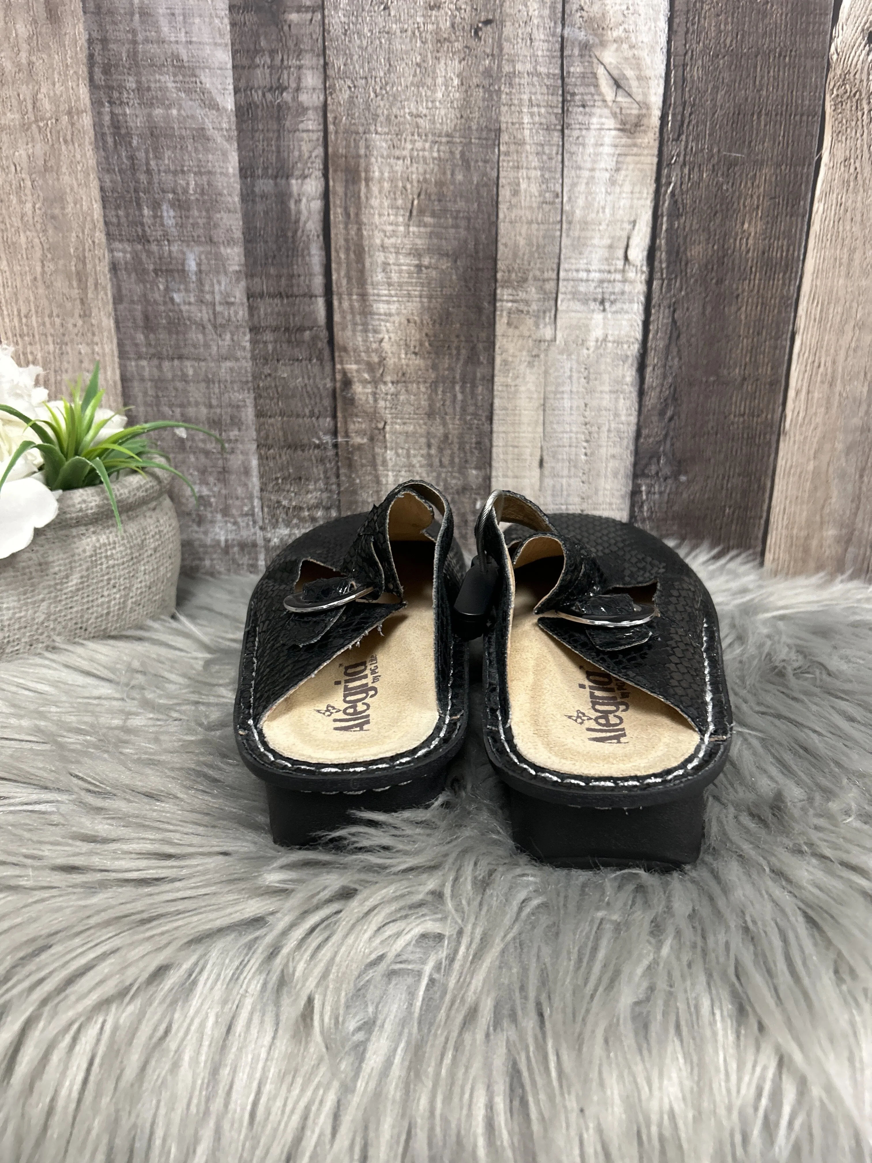 Shoes Flats By Cme  Size: 9